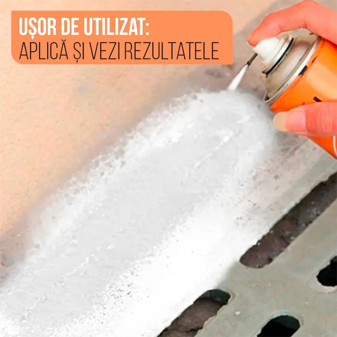 MoldGuard 400ml – Spray pentru Îndepărtarea Mucegaiului de pe Suprafețe